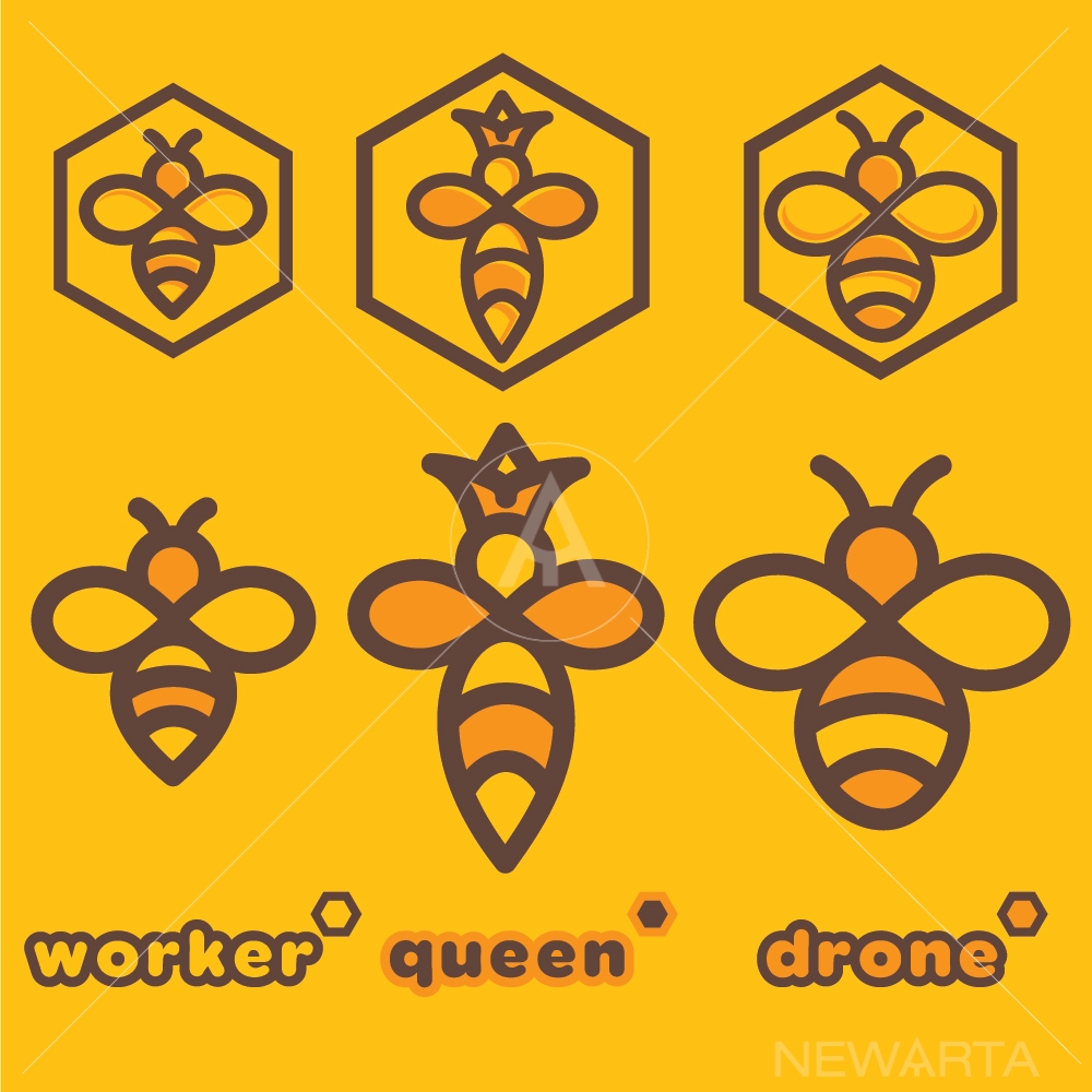 bee logo set of a bee worker bee queen and bee drone