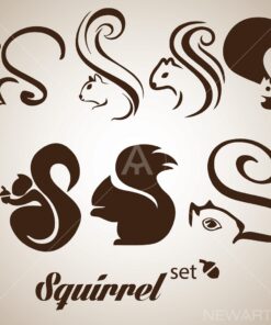 squirrel logo set