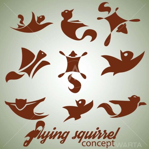 flying squirrel design concept set