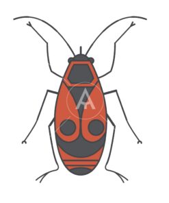 japanese red bug logo graphic design icon vector