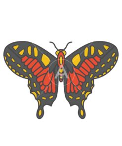 butterfly logo graphic design icon vector