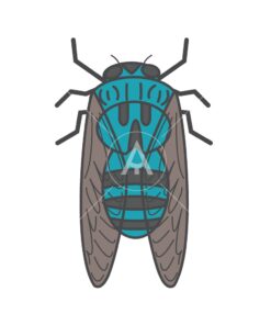 cicada logo graphic design icon vector