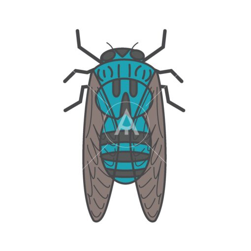 cicada logo graphic design icon vector