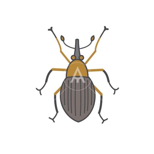 clover seed weevil logo graphic design icon vector