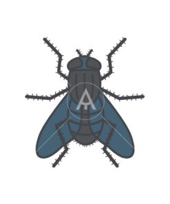 fly logo graphic design icon vector