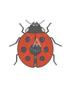ladybug logo graphic design icon vector