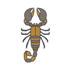 scorpion logo graphic design icon vector