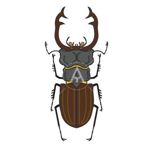 stag beetle logo graphic design icon vector