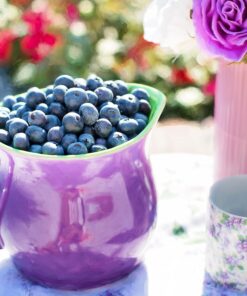blueberries in a cup free photography