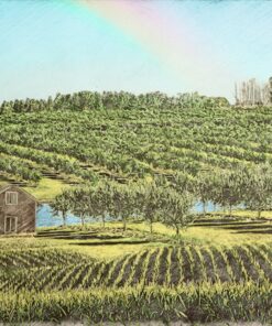 beautiful drawing ecological agriculture