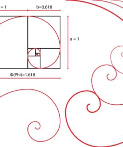 golden ratio spiral vector graphic tool free