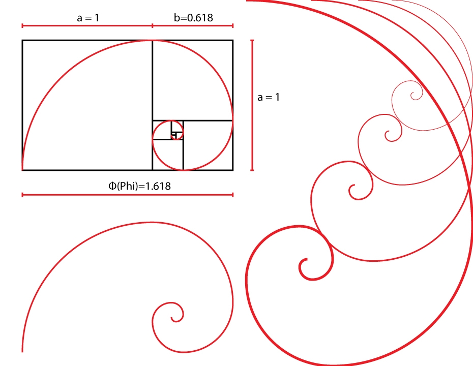 fibonacci spiral design